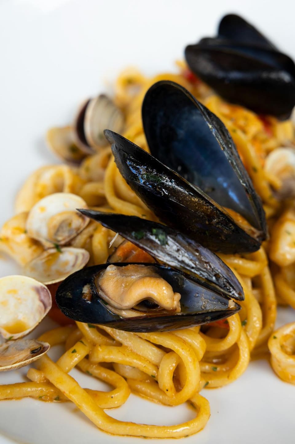 Scialatielli allo scoglio — Il Gozzo, ristorante di pesce a Salerno